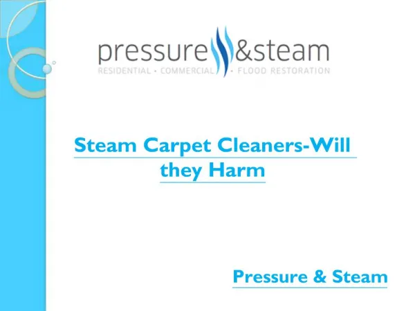 Steam Carpet Cleaners-Will they Harm