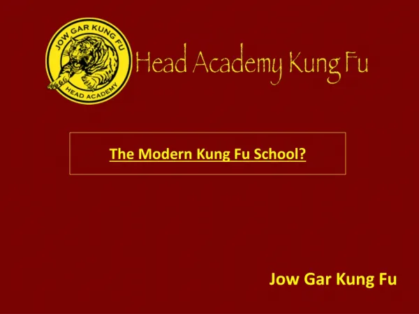 The Modern Kung Fu School?