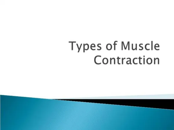 Types of Muscle Contraction