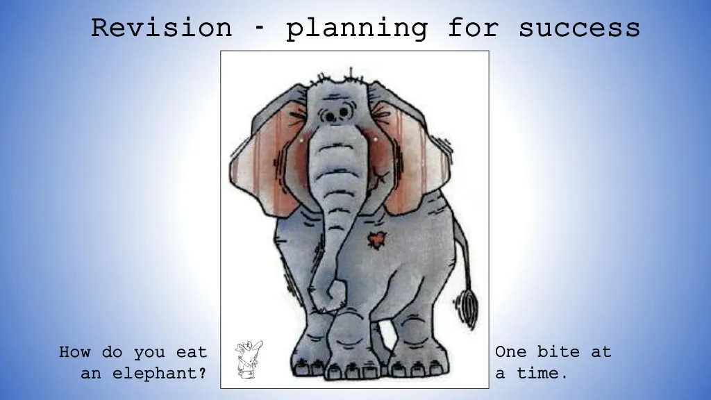 revision planning for success