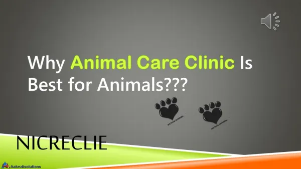 Why Animal Care Clinic is best place for your pets