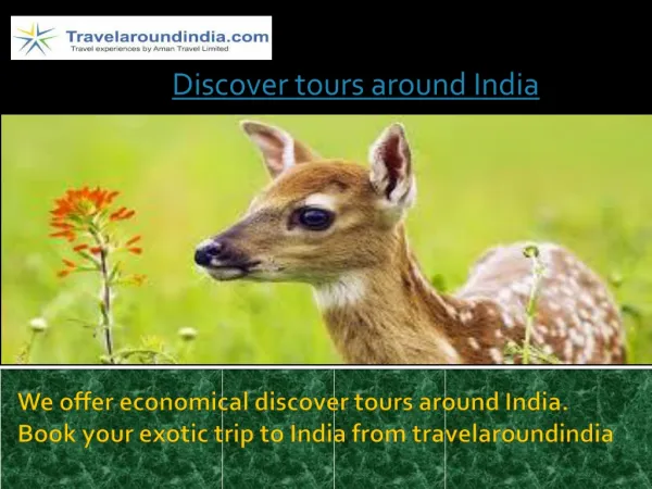 Discover tours around India