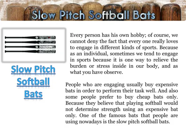 Softball Bat Reviews