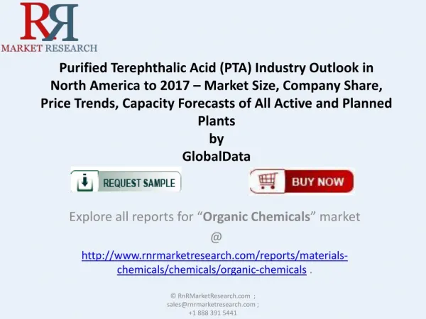 Purified Terephthalic Acid (PTA) Industry Trends and Forecas
