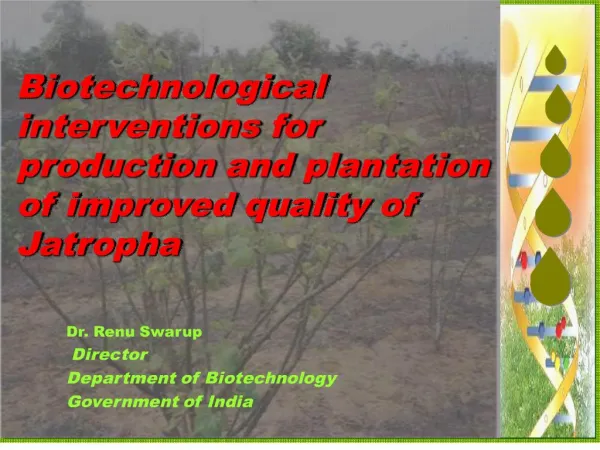 biotechnological interventions for production and plantation of improved quality of jatropha
