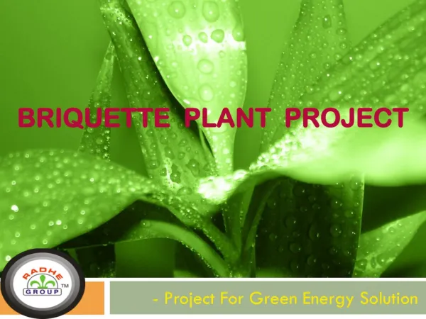 Briquette Plant Project - Project For Green Energy Solution