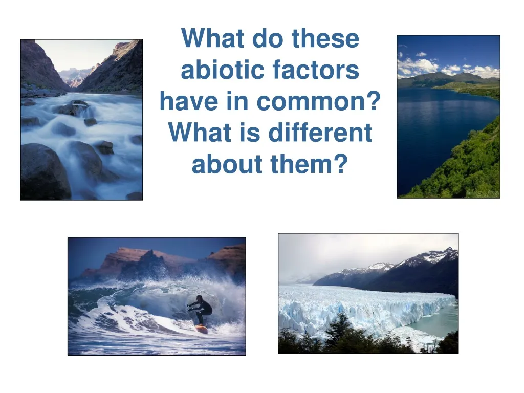 what do these abiotic factors have in common what