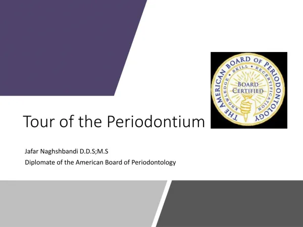 Tour of the Periodontium