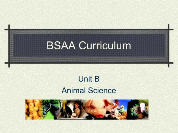 BSAA Curriculum