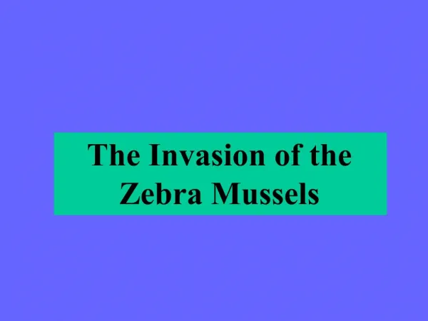 The Invasion of the Zebra Mussels