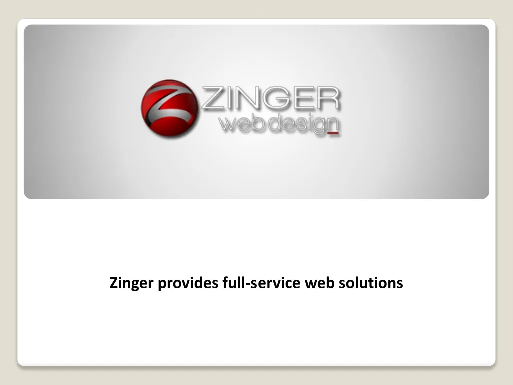 zinger provides full service web solutions