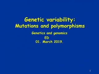 Genetic variability : Mutations and polymorphisms - slide 1