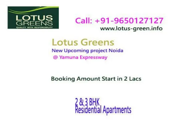 Lotus greens price list