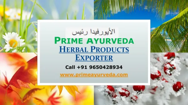Ayurvedic Herbal Products Wholesale Suppliers