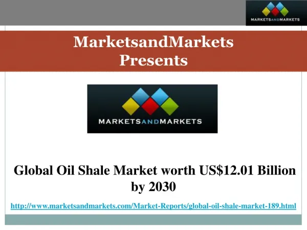 Global Oil Shale Market Forecast by 2030