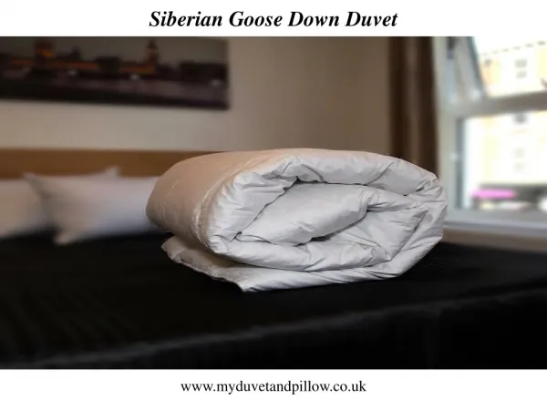 Siberian Goose Down Duvet And pollow