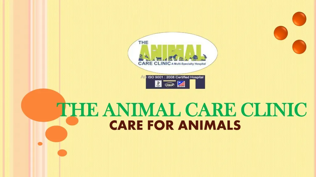 care for animals