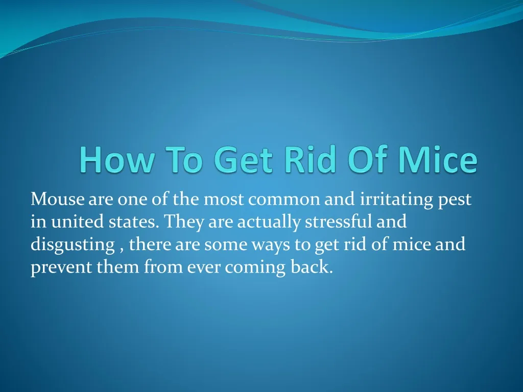 how to get rid of mice