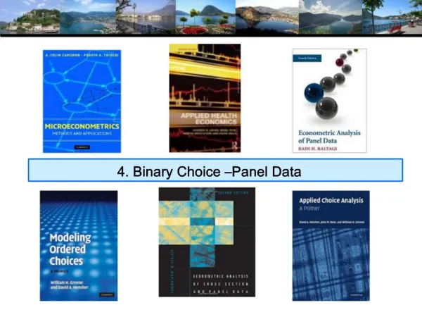 4. Binary Choice Panel Data