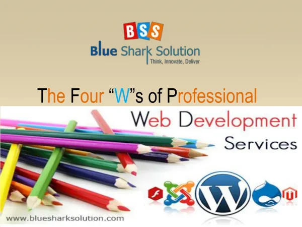 The four Ws of professional web development services: