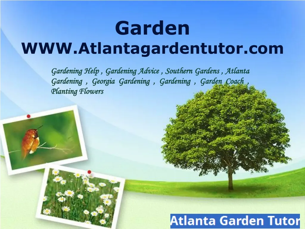 garden www atlantagardentutor com