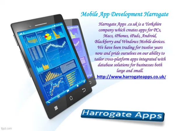 Web Development Harrogate