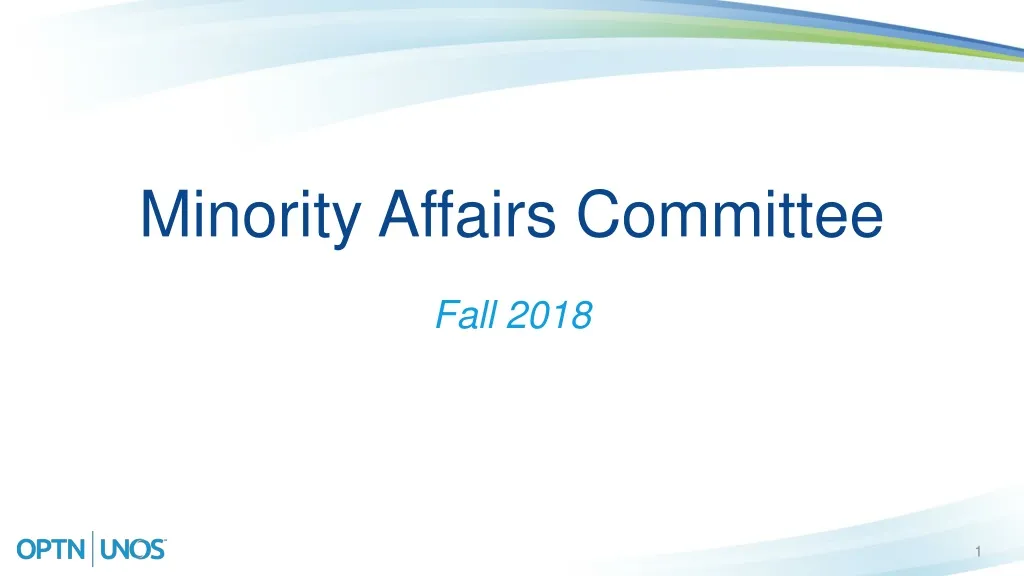 minority affairs committee