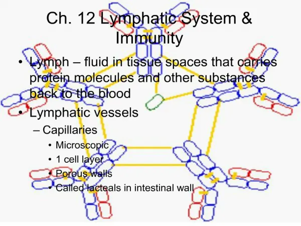 ch. 12 lymphatic system immunity