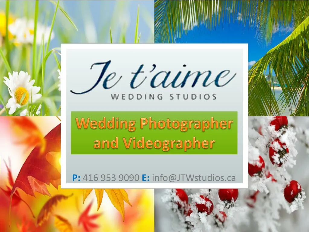 wedding photographer and videographer