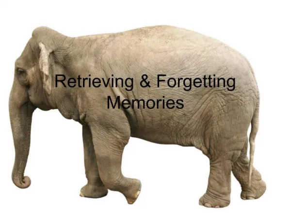 Retrieving Forgetting Memories