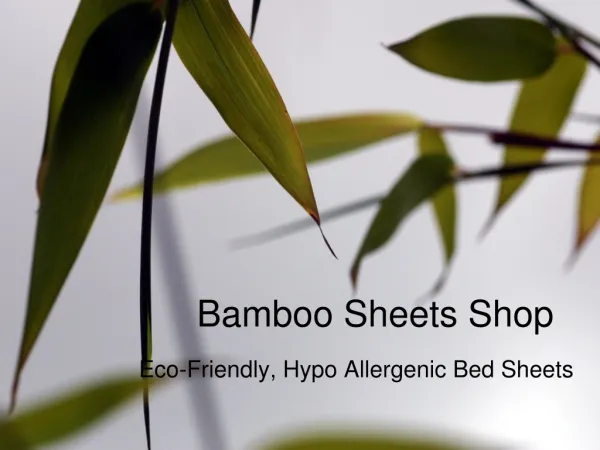 Buy bamboo sheets set from Bamboo Sheets Shop
