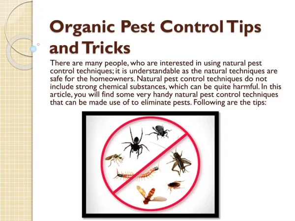 Pest control companies Lexington