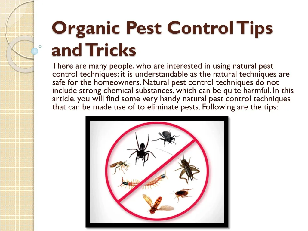 organic pest control tips and tricks