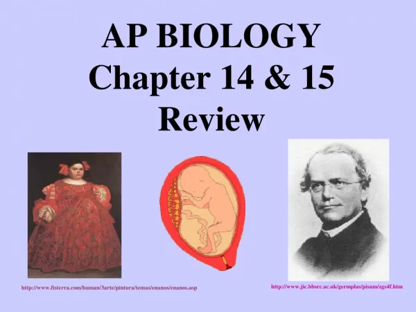 AP BIOLOGY Chapter 14 &amp; 15 Review