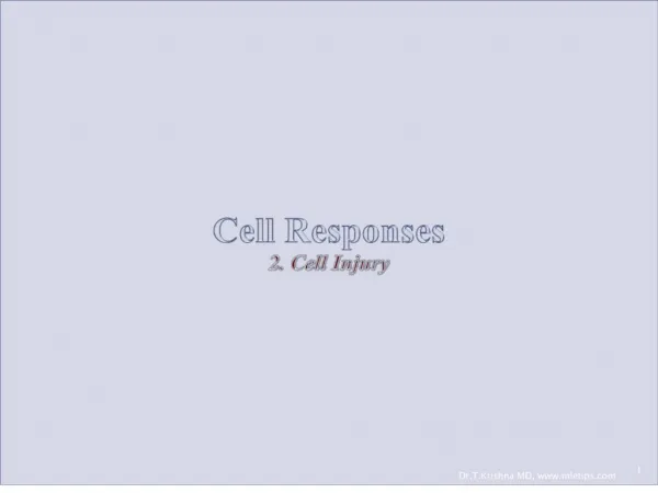 cell responses 2. cell injury