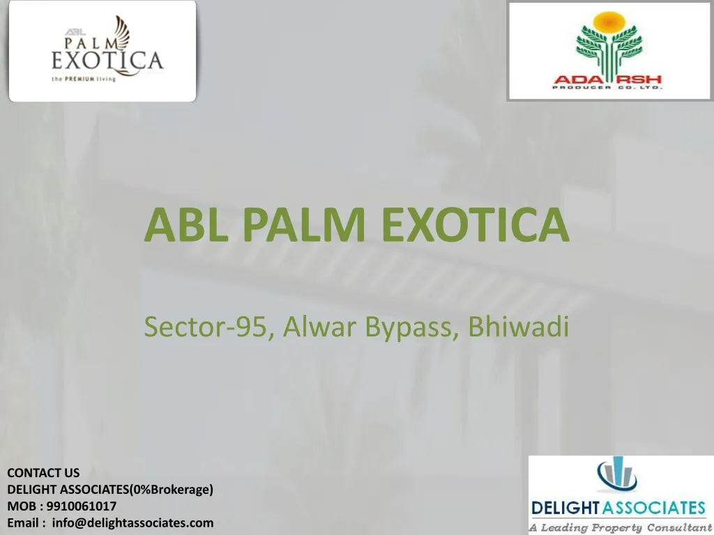 abl palm exotica