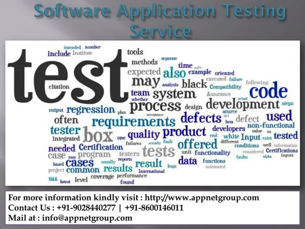 Software Application Testing Service