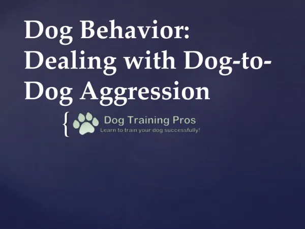 Dog Behavior: Dealing with Dog-to-Dog Aggression