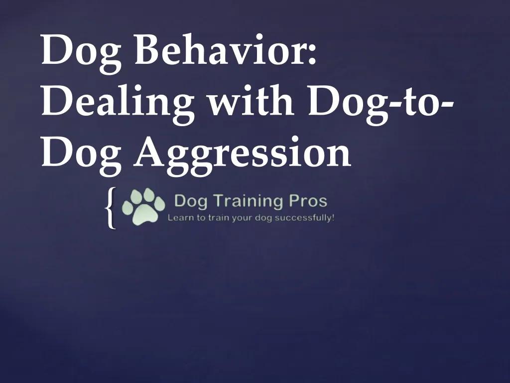 dog behavior dealing with dog to dog aggression