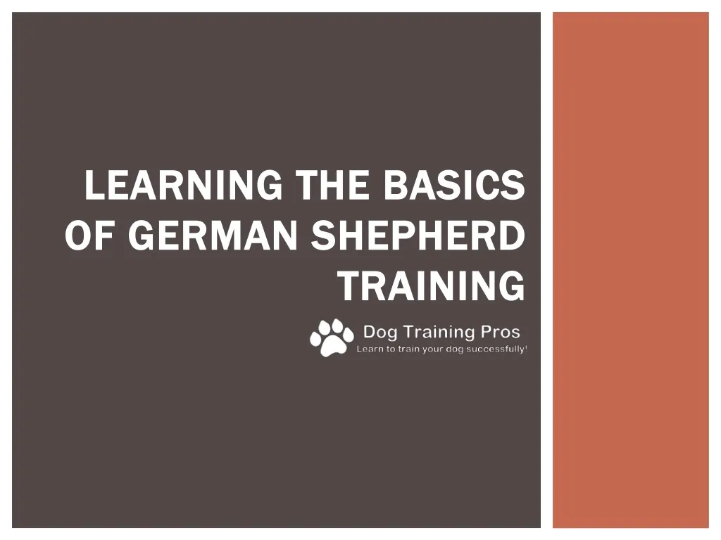 learning the basics of german shepherd training
