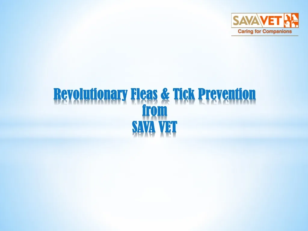 revolutionary fleas tick prevention from sava vet
