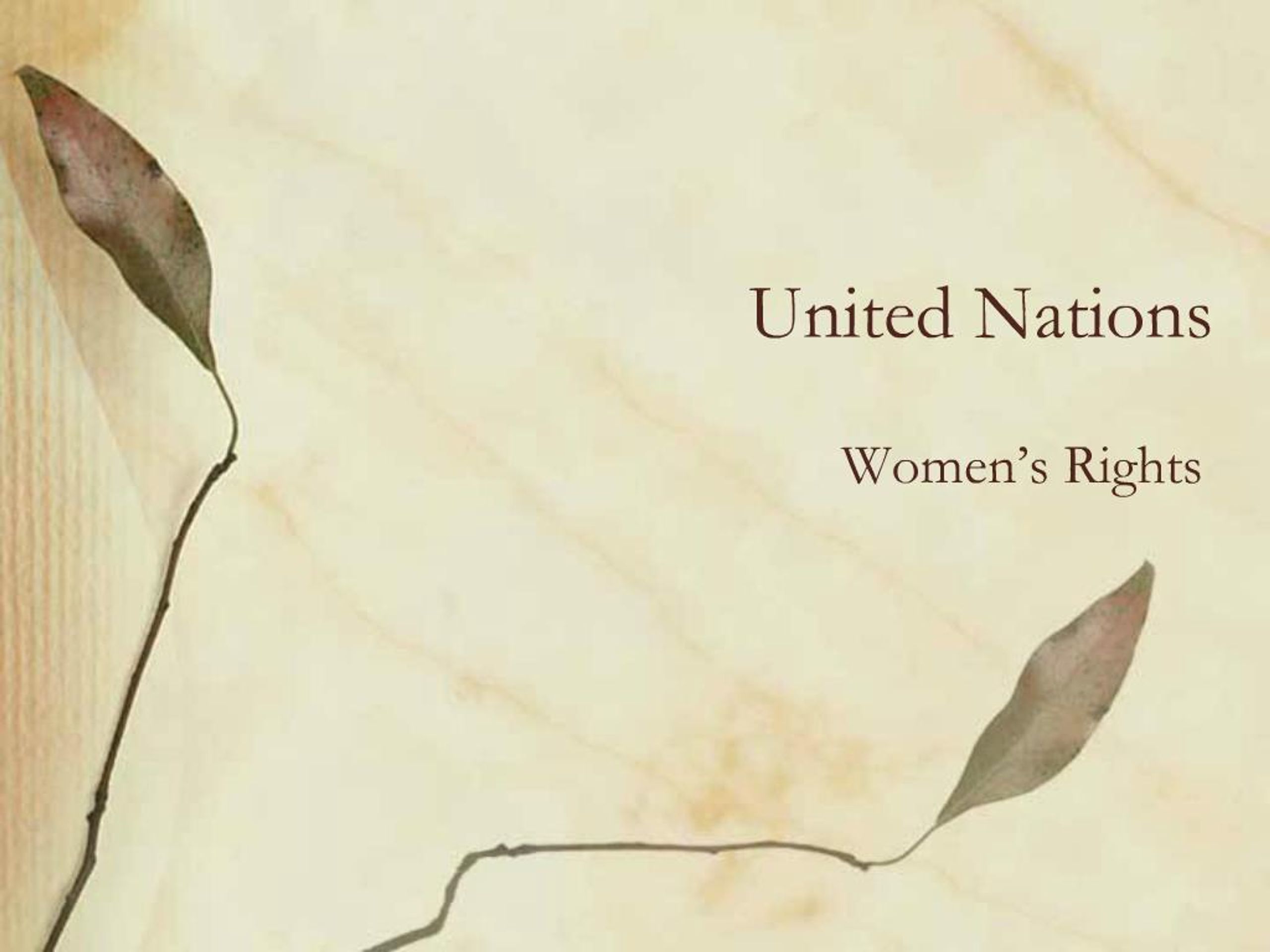 PPT - United Nations PowerPoint Presentation, free download - ID:1442976