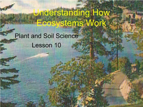 Understanding How Ecosystems Work
