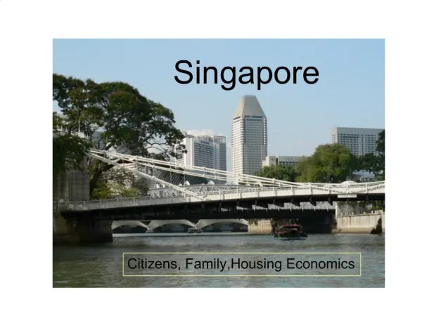The Model Singaporean