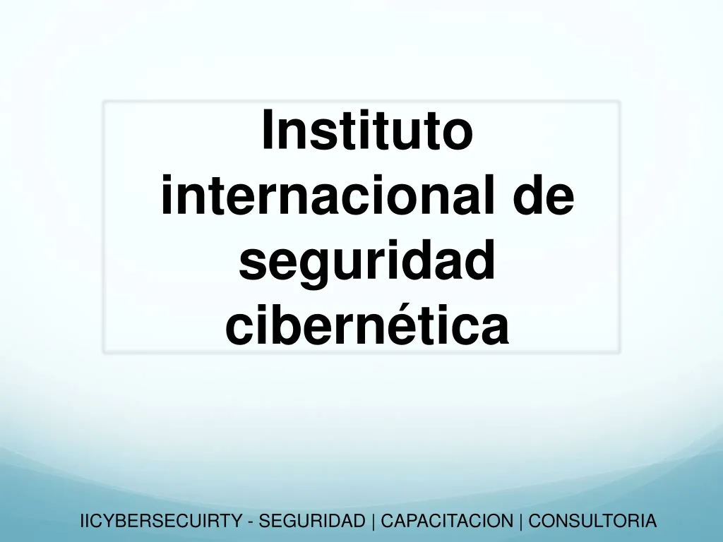 instituto internacional de seguridad cibern tica