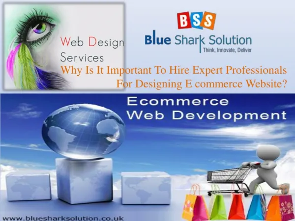 important to hire expert professional for ecommerce website