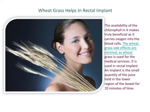Wheat Grass Helps In Rectal Implant