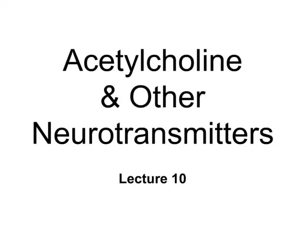 Acetylcholine Other Neurotransmitters
