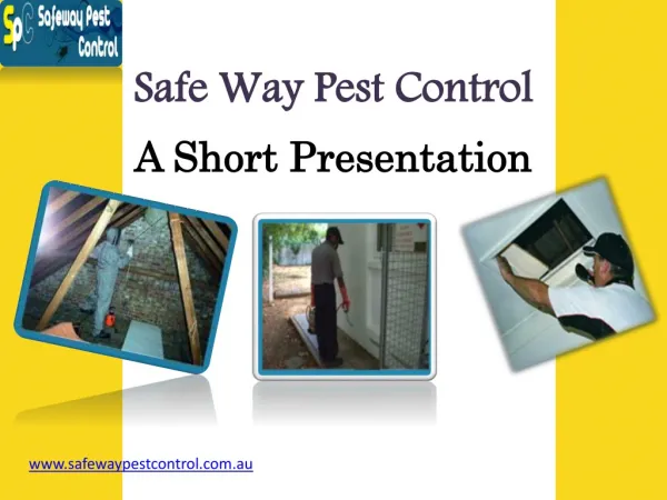 Know More About Pest Control Termites