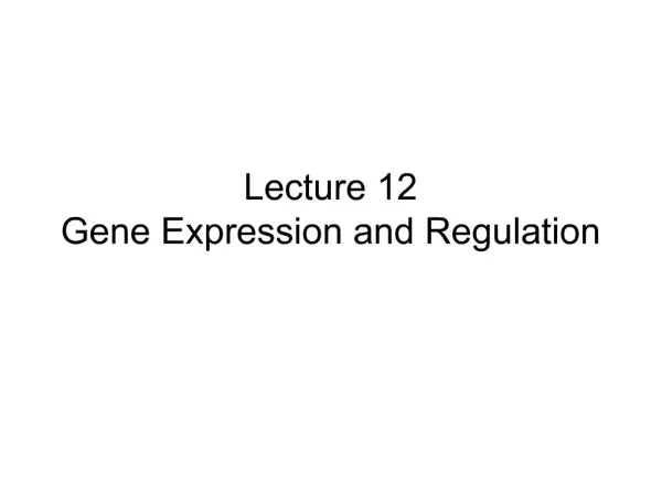 Lecture 12 Gene Expression and Regulation